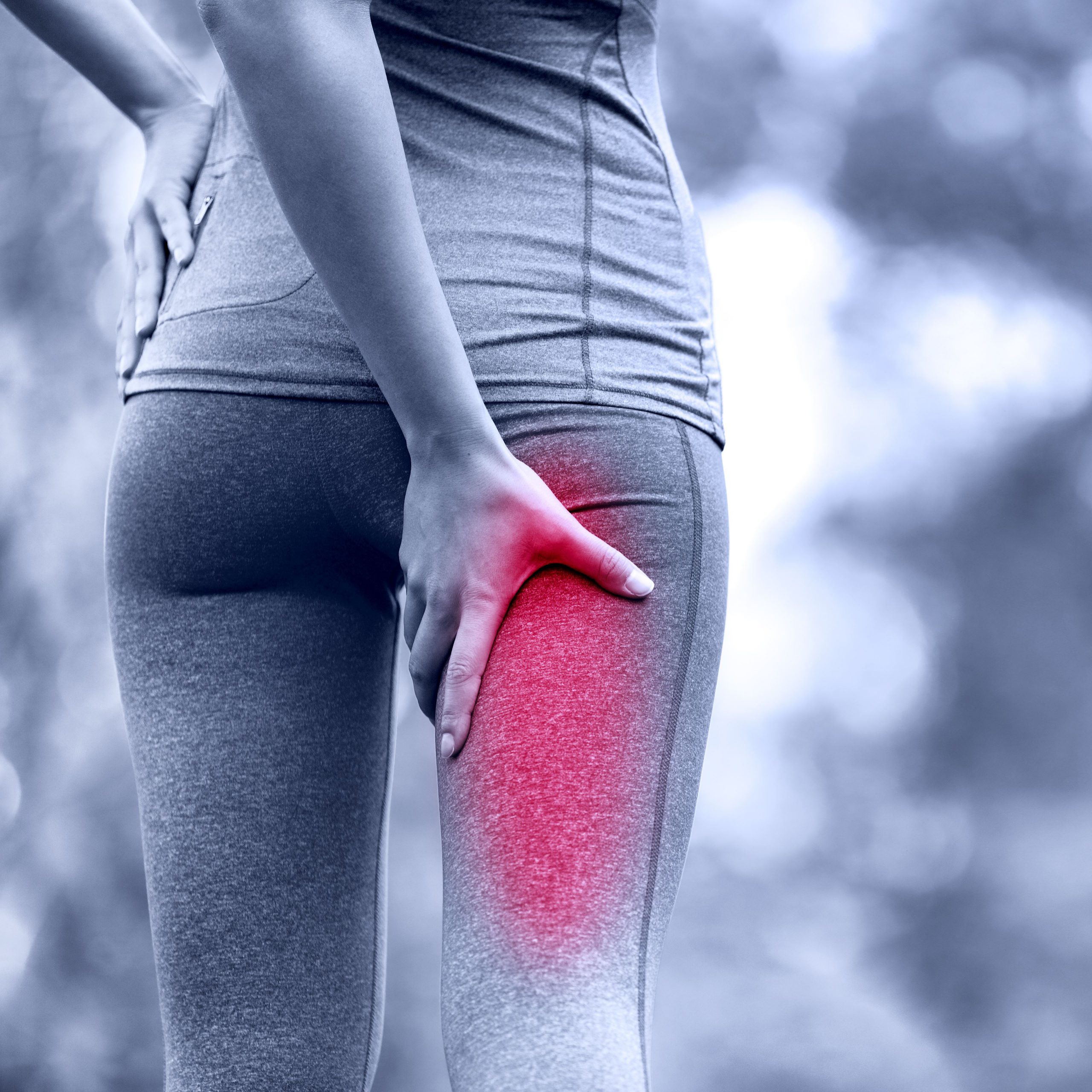 Proximal Hamstring Tendinopathy Assessment And Management APPI Clinics